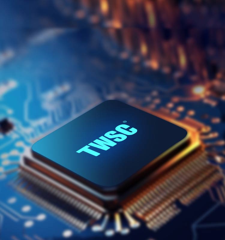 fun88官网TWSC6501自研芯片